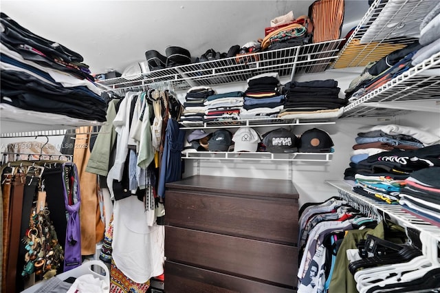 view of walk in closet