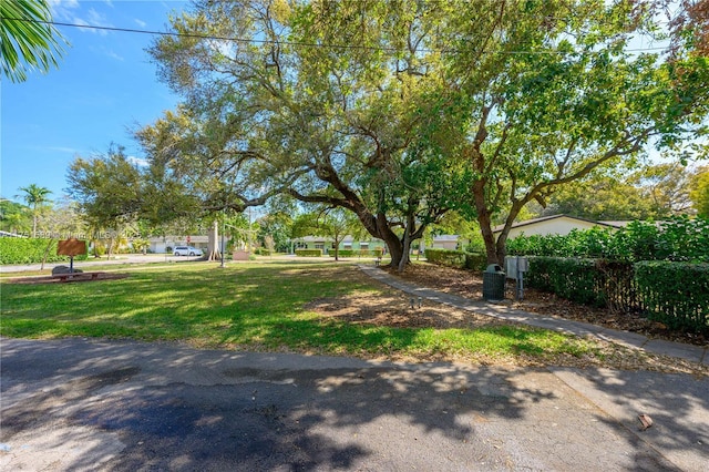 view of yard