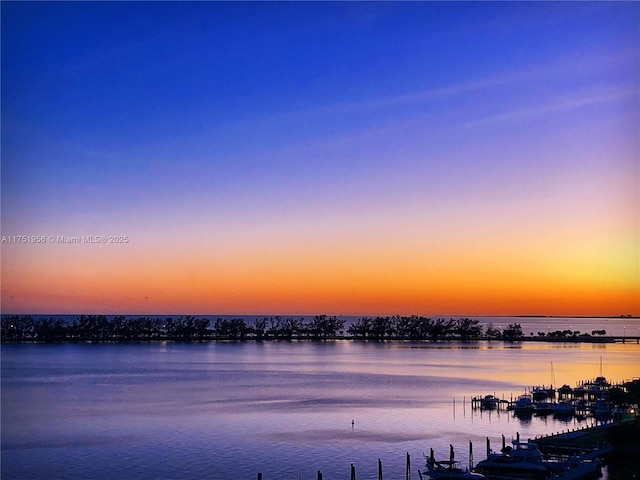 water view with a boat dock