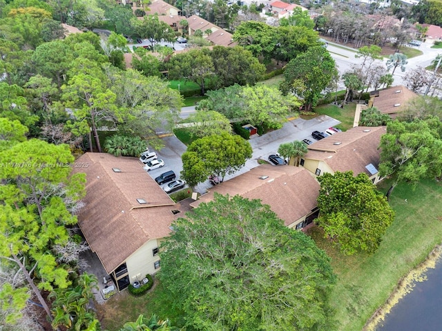 drone / aerial view