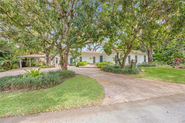 view of front of home with a carport, decorative driveway, a front lawn, and stucco siding