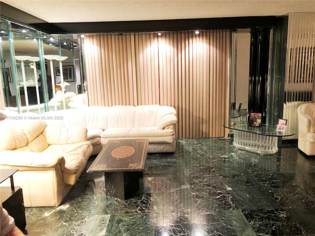 living room with radiator