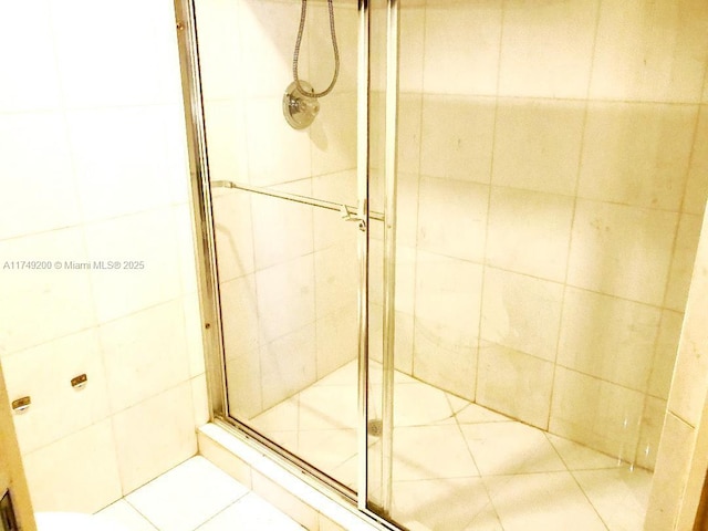 bathroom featuring a shower stall