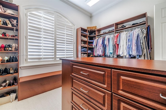 16721 SW 86th Ct, Palmetto Bay, FL 33157 - spacious closet with carpet flooring
