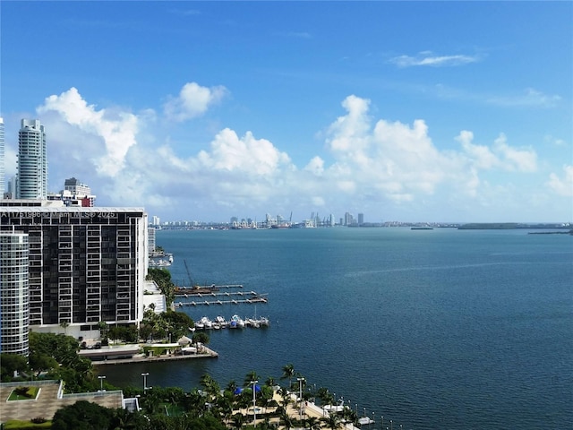 water view featuring a view of city