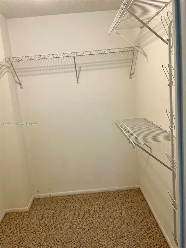 spacious closet featuring carpet