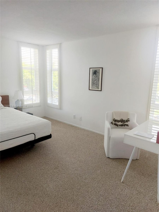 2650 S Course Dr Unit 410, Pompano Beach, FL 33069 - bedroom with carpet floors and baseboards