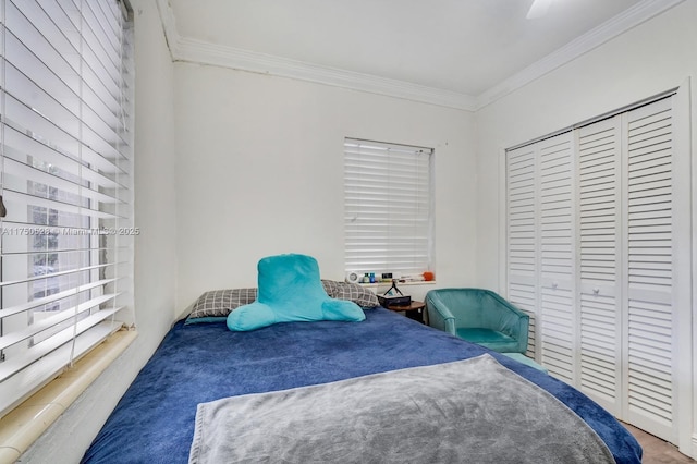 bedroom with ceiling fan, a closet, and crown molding