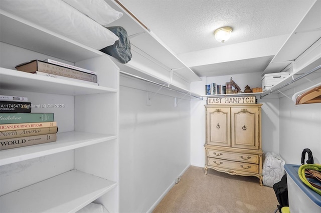 spacious closet featuring light carpet