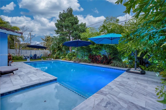 view of pool featuring a patio area and a fenced backyard