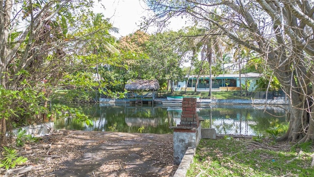 dock area with a water view