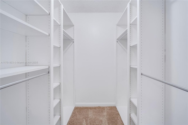 3104 Kingston Ct Unit 11D, West Palm Beach, FL 33409 - photo 22