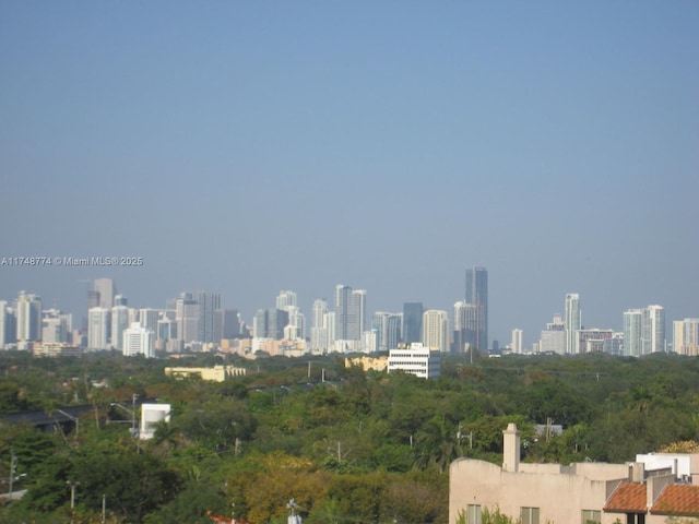 property's view of city