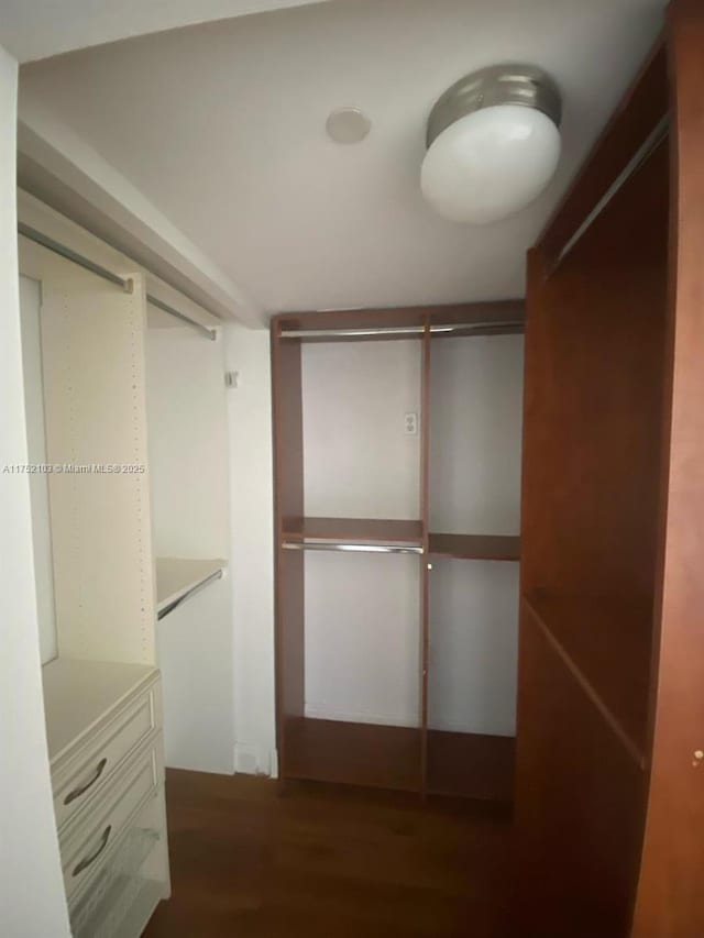 3300 NE 191st St Unit 416, Aventura, FL 33180 - spacious closet with dark wood-style floors
