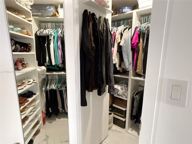 view of spacious closet