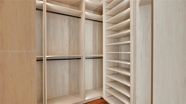 view of walk in closet