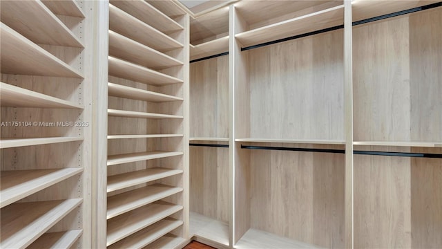 view of spacious closet