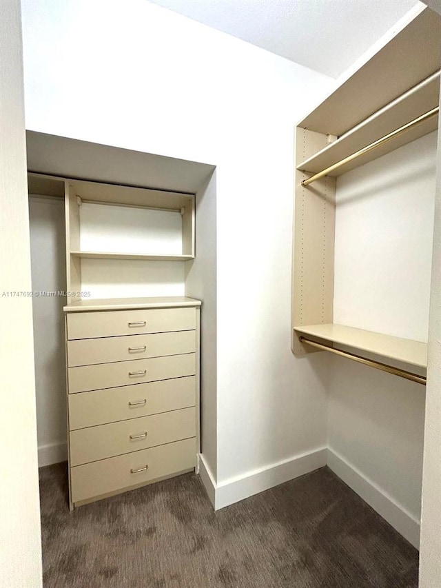 spacious closet featuring dark colored carpet