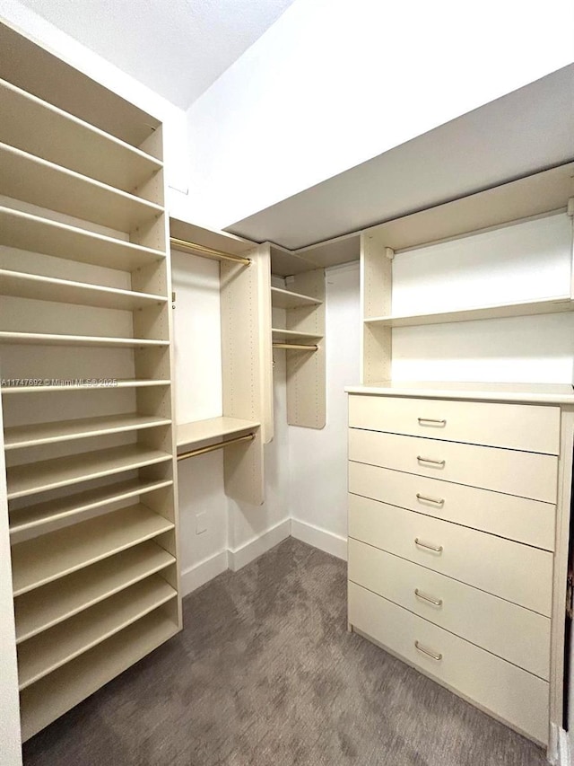 walk in closet featuring dark carpet