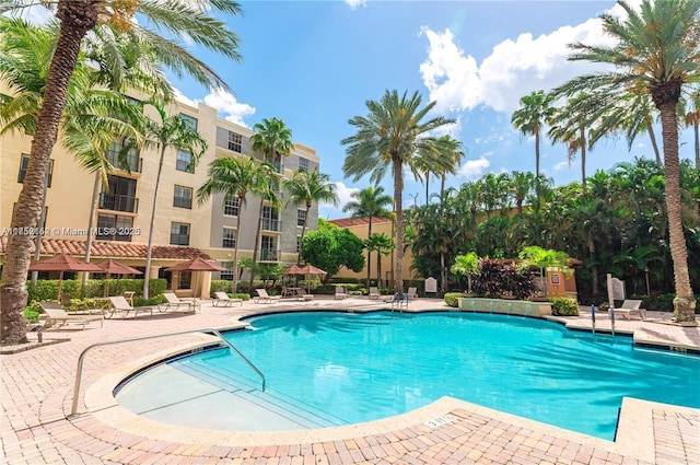 pool featuring a patio area