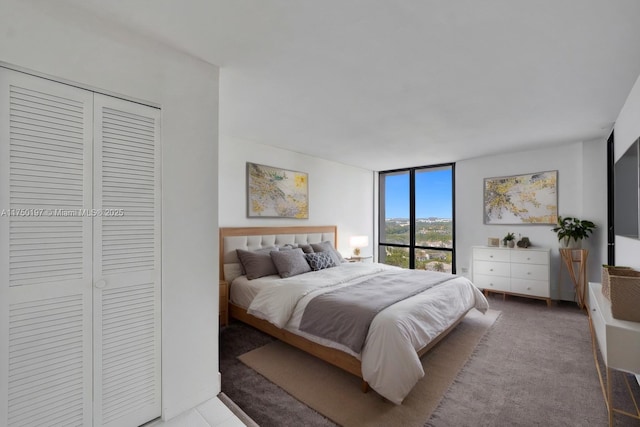 carpeted bedroom featuring a closet and floor to ceiling windows