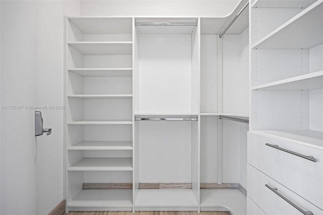 view of spacious closet