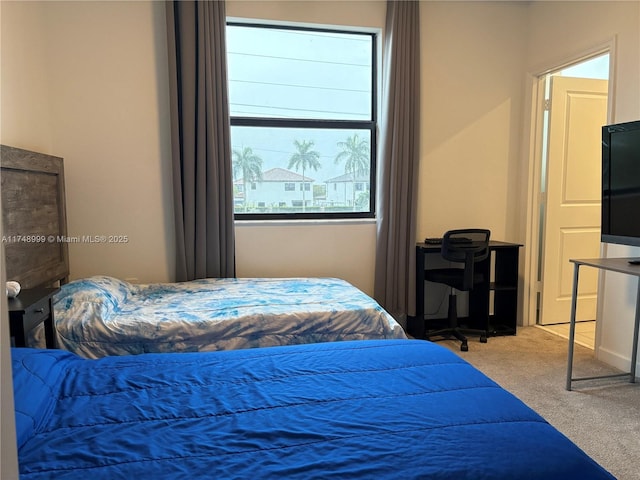 bedroom featuring multiple windows and light colored carpet