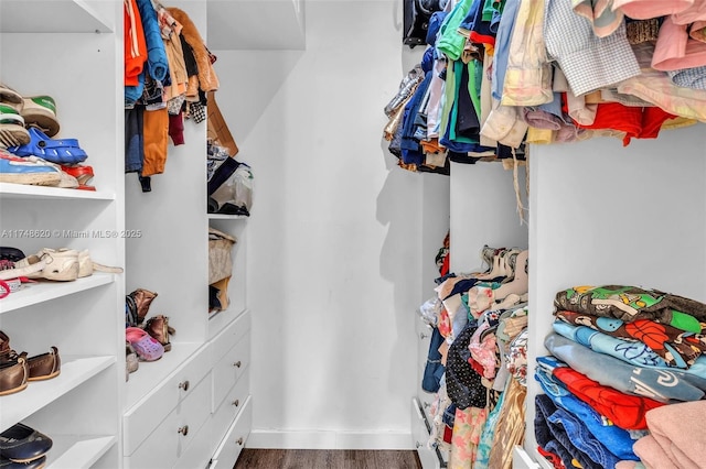 spacious closet featuring wood finished floors