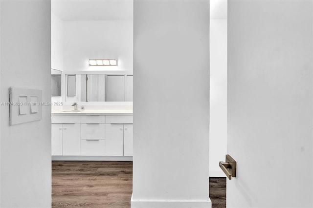 bathroom with vanity and wood finished floors