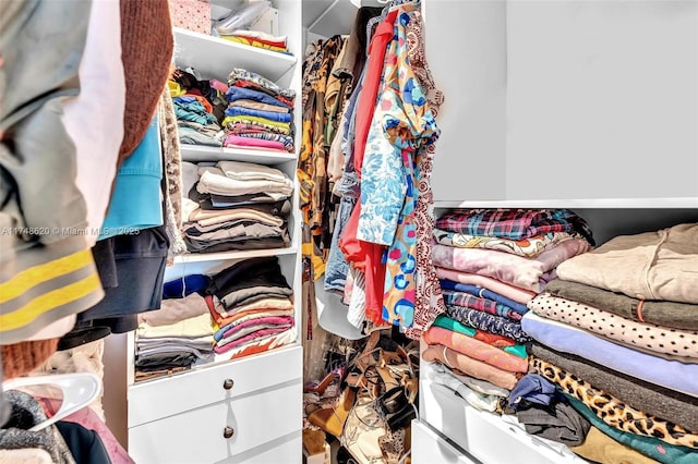 view of spacious closet