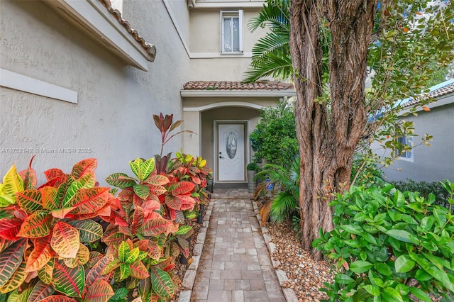 entrance to property featuring stucco siding