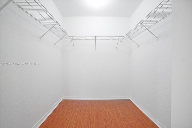 walk in closet with wood finished floors