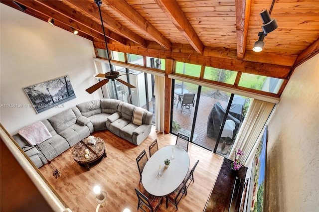 living room featuring beam ceiling, expansive windows, wood ceiling, ceiling fan, and light wood-type flooring