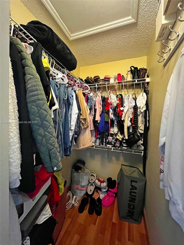 spacious closet with wood finished floors