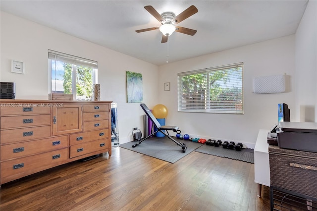 exercise area with wood finished floors and a ceiling fan