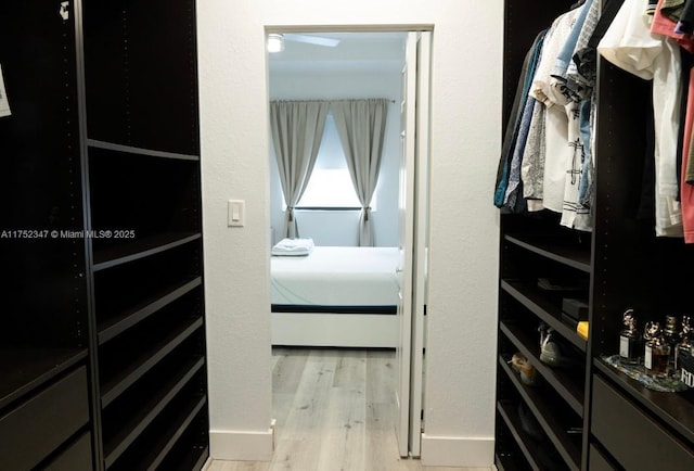 walk in closet with wood finished floors