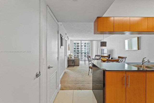 kitchen featuring a textured ceiling, light carpet, a sink, open floor plan, and expansive windows