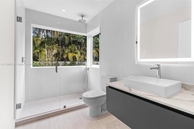 full bath with toilet, a stall shower, a wealth of natural light, and vanity