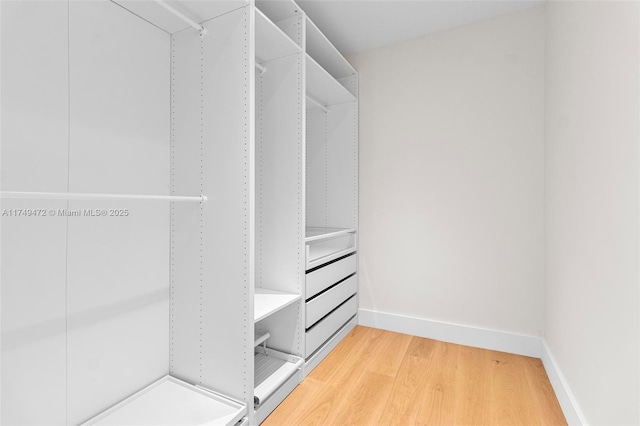 walk in closet with wood finished floors