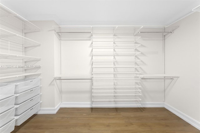 spacious closet featuring dark wood-type flooring