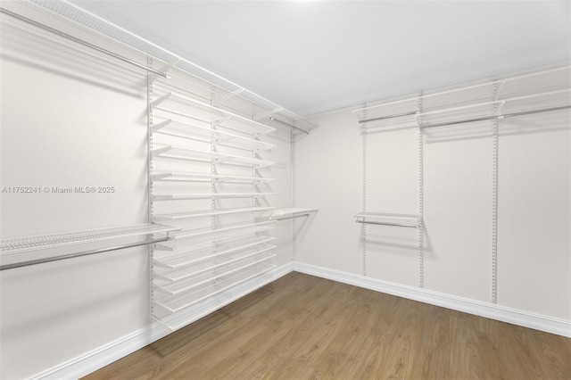 walk in closet featuring wood finished floors