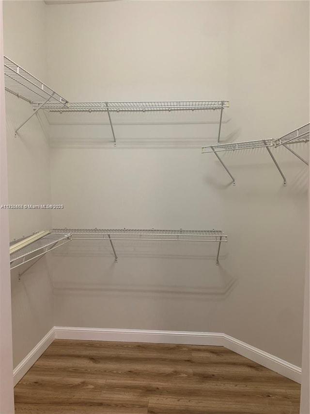 walk in closet with wood finished floors