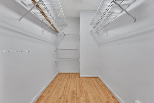 spacious closet with wood finished floors