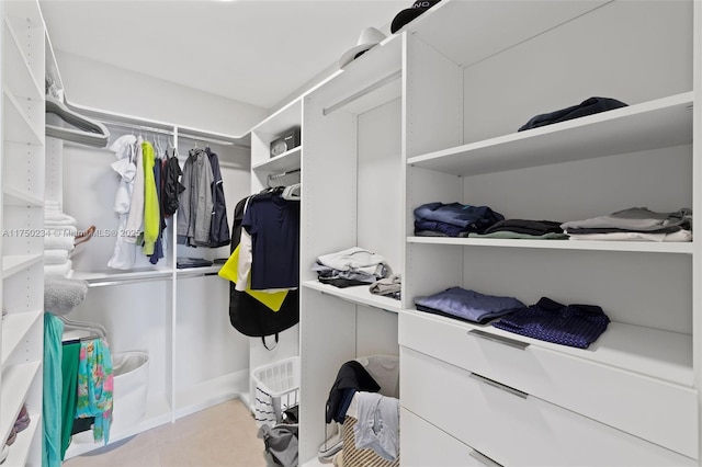 view of spacious closet