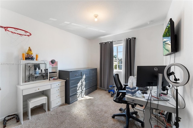 office area featuring light colored carpet