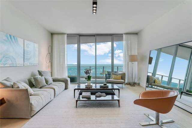 living room featuring a wall of windows, baseboards, and wood finished floors