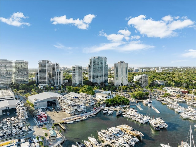 birds eye view of property with a water view and a view of city