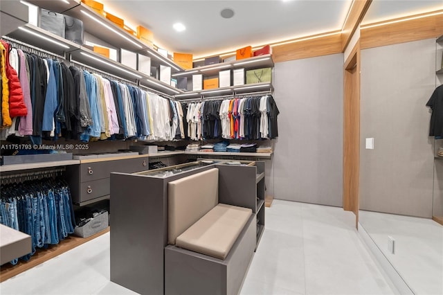 view of spacious closet