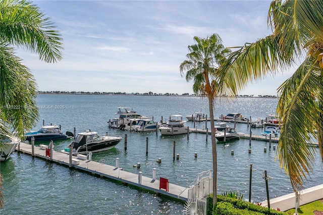 dock area featuring a water view