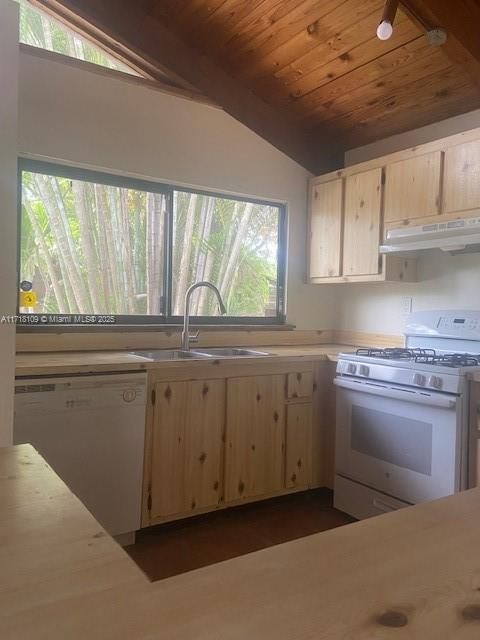 kitchen featuring white appliances, lofted ceiling, a sink, light countertops, and under cabinet range hood